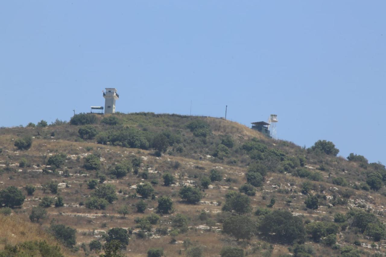 175682.jpg