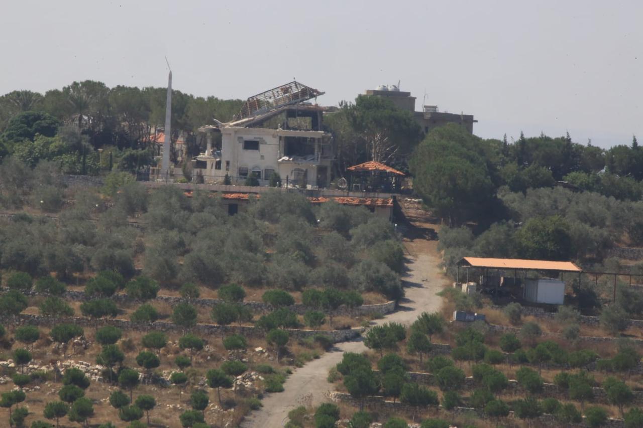 175686.jpg