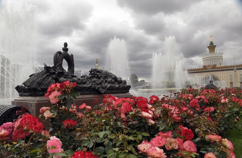 moscowflowers1.jpg