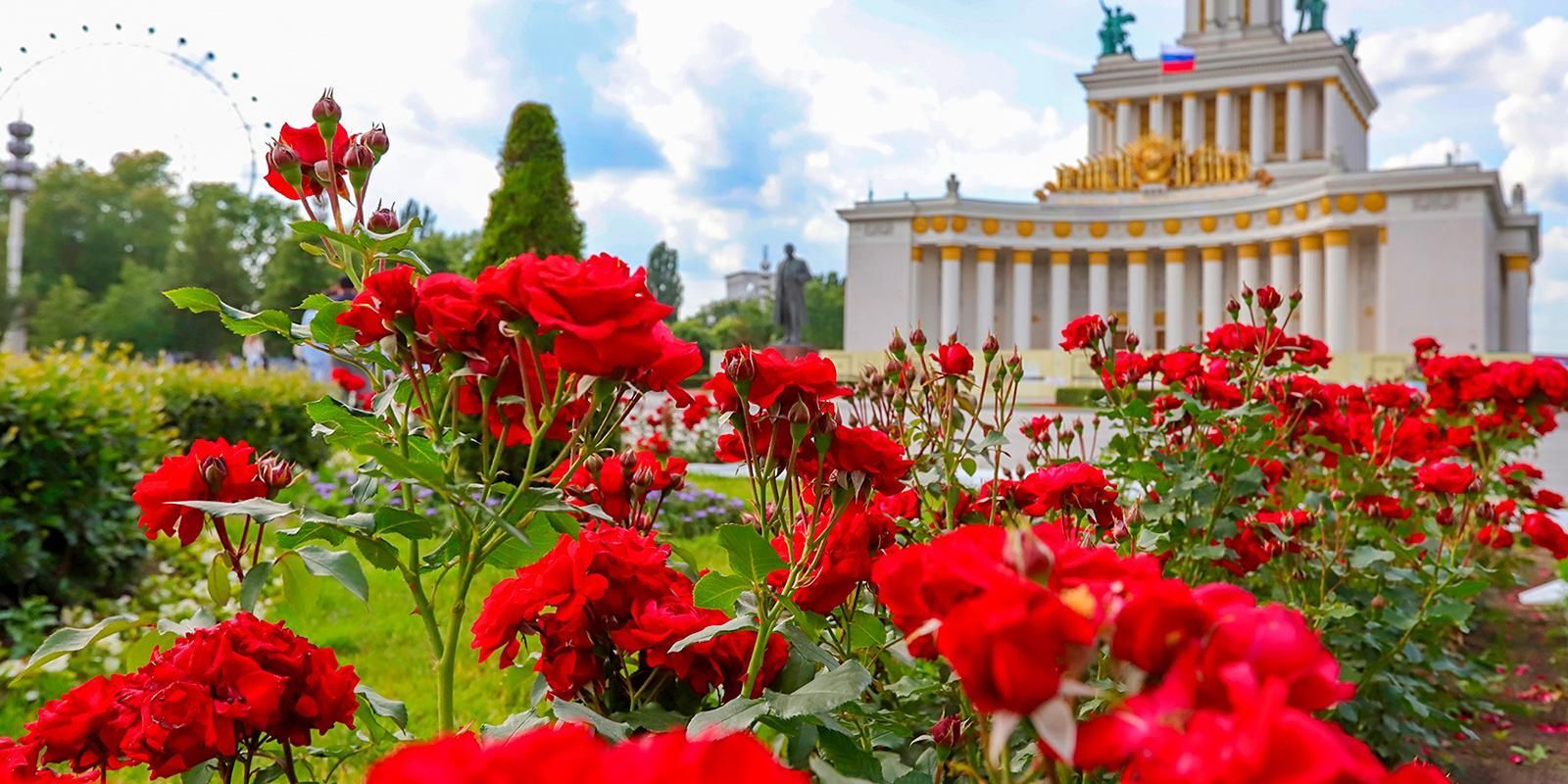 moscowflowers2.jpg